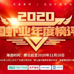 ��2020�Ї��r�I��Ȱ񡱈�������M������