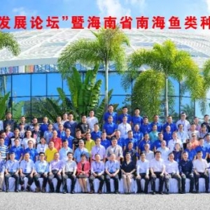 ��λԺʿ�͘I(y��)�߶����P(gu��n)ע�Ĕ�(sh��)�l�S���~(y��)���l(f��)չ�������ģ�