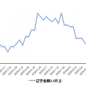 ��ߝq4ë�����ӱ��Ј������ů���|�����~�^�m��