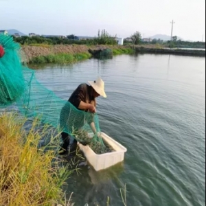 �B(y��ng)�r����Ҫ���A�Ρ������š������ֽ�����ζ��^