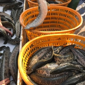 ���m���r�����~�q�����y؛�ػ�8Ԫ���P