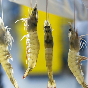 �@��ι�r���L����죬��120��s�̵�90�죡���ւ�������ô����