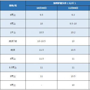 �����|�r��������{1Ԫ/��B��ϧ�ۺ����~�r�����