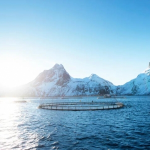 Ų�������~�Bֳ50���꣺�҂���Ŀ�����ǳ��󺣣�