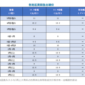 ���ַ�(w��n)����11��9�ո����S��~�������^��r