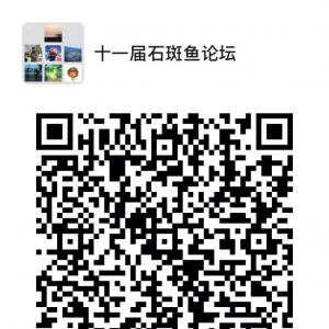 �ذ��l������ʮһ��ȫ��ʯ���~�a�I�lչՓ����I��һ����Ո��