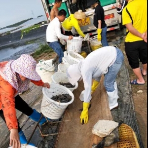 �����Ρ��B�r��4�����_8�^/�