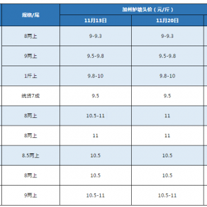 ���ڃȣ������|����څ�ڷ���
