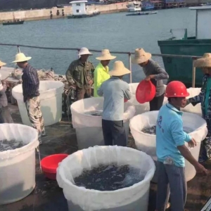 �B(y��ng)100�f(w��n)�l���K�~ٍ��170�f(w��n)Ԫ����