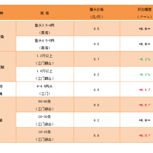 �q�����F(xi��n)��2020��12��4�������ǟo�[�~���^�r�񲥈�