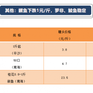 �r���µ���2020��12��4���������Z�~���_�����^�r�񲥈�