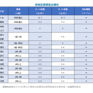 ���ַ�����2020��12��21�ո����S��~�������^��r