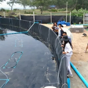 һ�Ľ��xС�͈A�η������B�r����Ҫ�c