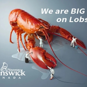 ��һ�����Ʒ�����ô�������r������