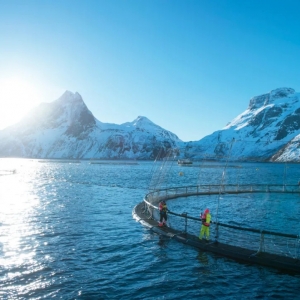 Ų�������~ȫ�a�I朹�ͬ���������~ʳ�ð�ȫ���o�Ǻӡ���