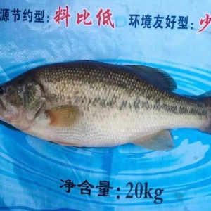 ������{(di��o)0.5Ԫ/��V�|�㽭�ԝq�����ꎧ���|�~�r�������K����e�O��؛ | �ܴ�����ؼs ...