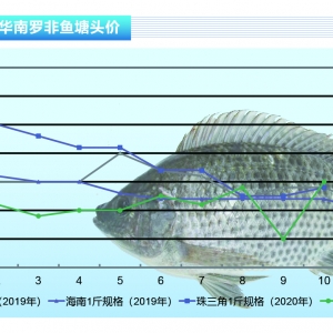 �_���~����SҎ�񲻉��Ј��~���y�ߡ�����ˮ�aǰ�ء�2020��11�¿��Ј�څ��