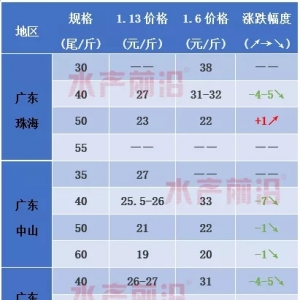 ���ֵ؅^�r�r������;ە�����Ӱ푻��{