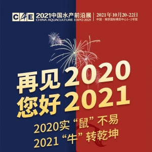 2020���҂�һ����^