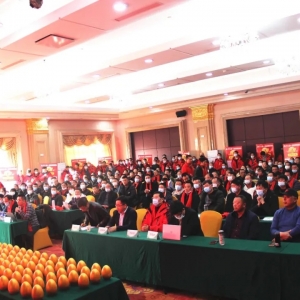 ӆ؛�𱬣��A�|�Ј������d��һ�������A���L(f��ng)��