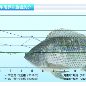 �_���~���~���಻ȱ���������ƽ��������ˮ�aǰ�ء�2020��12�¿��Ј�څ��