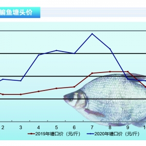 ���~���¿����~�������У�������ʎ�µ�������ˮ�aǰ�ء�2020��11�¿��Ј�څ��