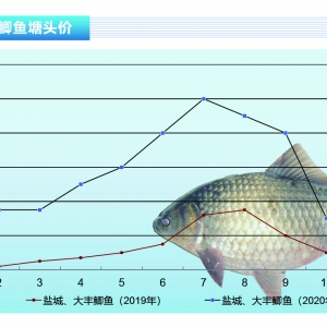 �a�~����������������m���q������ˮ�aǰ�ء�2020��8�¿��Ј�څ��