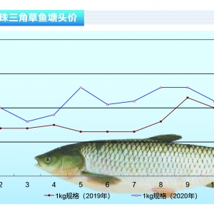 ���~�����龏��������Ȼ�����L�U���ӡ�����ˮ�aǰ�ء�2020��4�¿��Ј�څ��