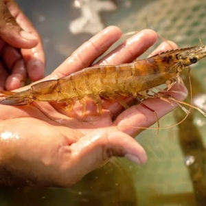 ������Ϣ���B�r�I��Ȼ��ٍ�X��������^ʮ�֏��ţ�