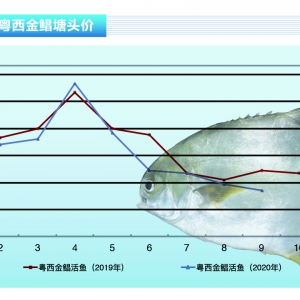 ���K�~���T�಻������Ӱ푣����K�~�r(ji��)�^ȥ����������ˮ�a(ch��n)ǰ�ء�2020��10�¿��Ј�(ch��ng)څ��(sh��)