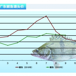 �Z�~�����~���мӲ��~�_�����~�r���w���С�����ˮ�aǰ�ء�2020��10�¿��Ј�څ��