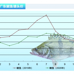 �Z�~���D���~��λ�\������(ji��)������ȫ������������ˮ�a(ch��n)ǰ�ء�2020��12�¿��Ј�څ��