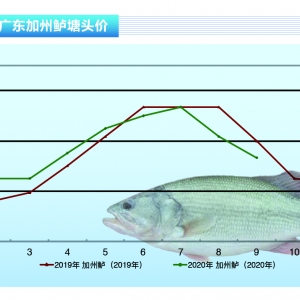 �����|���v�����ɂ��»��䣬9�µ��ݷž�������ˮ�aǰ�ء�2020��10�¿��Ј�څ��