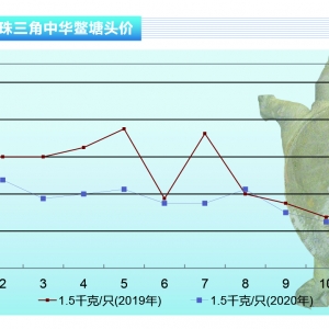 ���~��ʮ���¼��~�r���^�m���ԡ�����ˮ�aǰ�ء�2021��1�¿��Ј�څ��