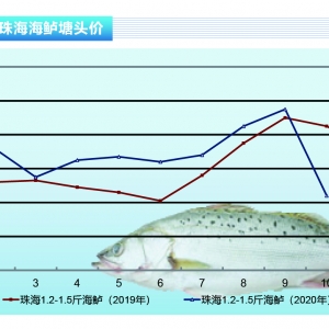 ���|�����~Ҏ�����������������r�������»�������ˮ�aǰ�ء�2020��11�¿��Ј�څ��