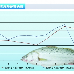 ���|���������~�����������m���࣬�r���^�m�»�������ˮ�aǰ�ء�2020��12�¿��Ј�څ��