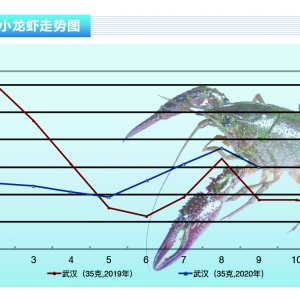 С���r�������ͦ�����r�Ӹ߲��¡�����ˮ�aǰ�ء�2020��10�¿��Ј�څ��