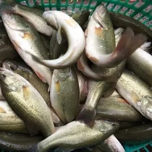 ��(w��n)���е���2021��1��18�ո��ؼ����|�������^��r