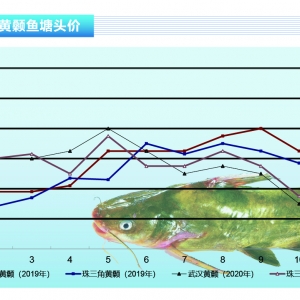 �S��~���Ј��������~�r�µ����@������ˮ�aǰ�ء�2020��11�¿��Ј�څ��