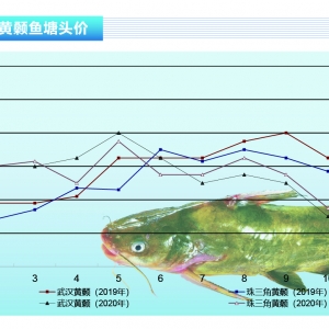 �S��~���Bֳ�����~�e�O�Խ������~�r���ЙC����ů������ˮ�aǰ�ء�2020��12�¿��Ј�څ ...