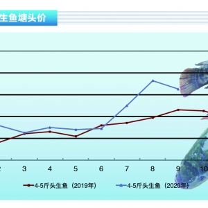 ���~�����~�������У��B(y��ng)ֳ���ֻų��~�����r������ˮ�a(ch��n)ǰ�ء�2020��10�¿��Ј�څ��
