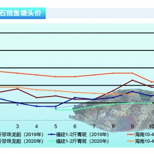 ʯ���~�����Mƣܛ���p�����~�r���F�»�������ˮ�aǰ�ء�2020��11�¿��Ј�څ��