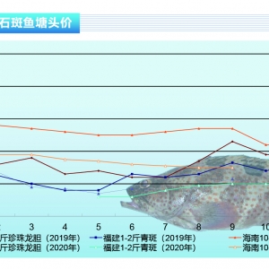 ʯ���~������D�䣬���г��~���~�r���m�µ�������ˮ�aǰ�ء�2020��12�¿��Ј�څ��