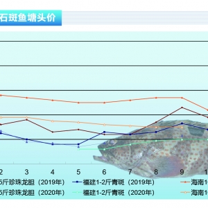 ʯ���~�����顢��߽��B��q���������п��g������ˮ�aǰ�ء�2021��1�¿��Ј�څ��