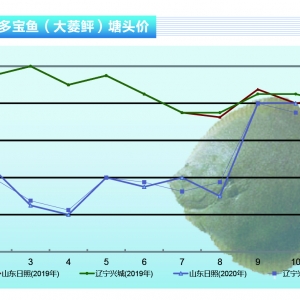 �����~���r(ji��)���λ��(w��n)��Ͷ��e�O�Ըߡ�����ˮ�a(ch��n)ǰ�ء�2020��11�¿��Ј�(ch��ng)څ��(sh��)