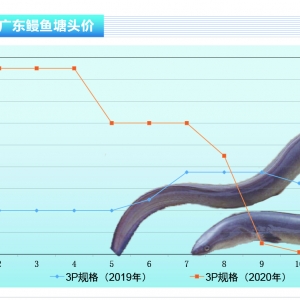 ���~������������r���ԝq�������Ј��r�������׃������ˮ�aǰ�ء�2021��1�¿��Ј�څ�� ...