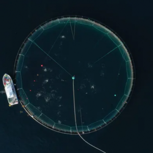 ��һ������Ͷ�ϙC���������W�Y���˹����ܣ��㿴�Æ᣿