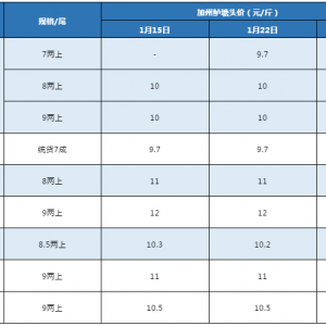 ��̝�������|һ����ٍ4ë�X��