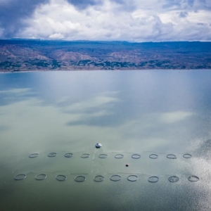 �����ࣺ���y�����~�N��ģʽ�׶�͹�@����ʶ��²��ܫ@�á���������