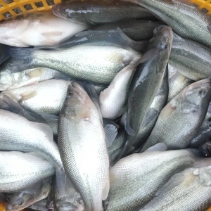 ����������2021��2��1�ո��ؼ����|�������^��r